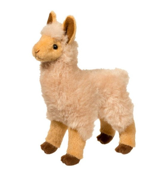 Jasper Llama