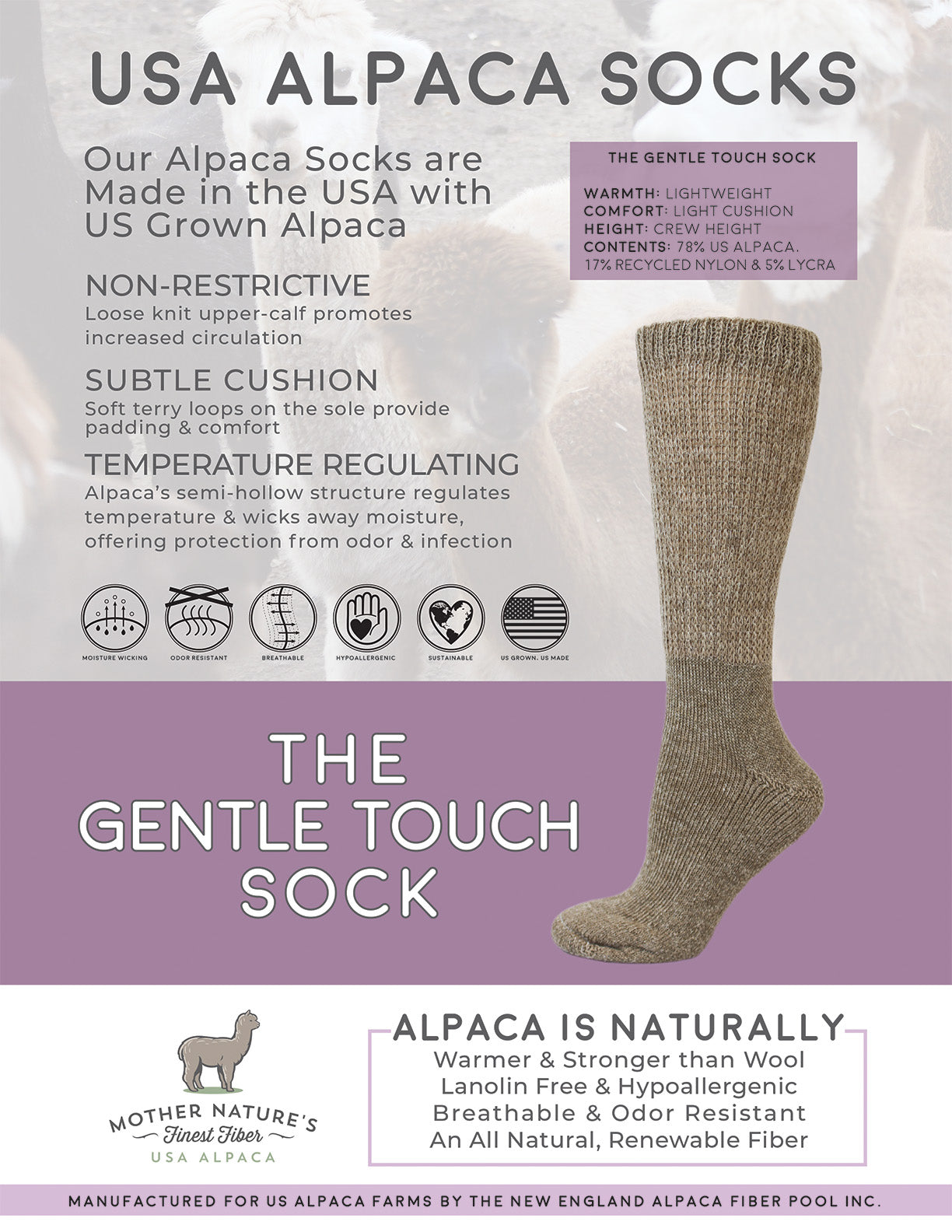 NEAFP Diabetic Socks