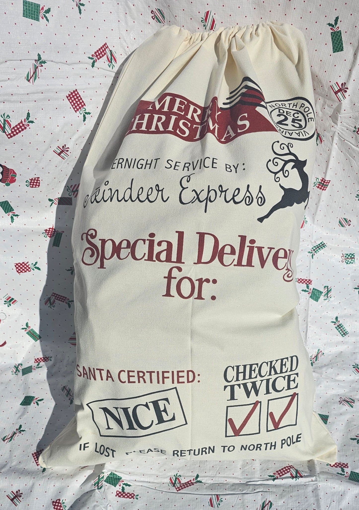 Santa Sack