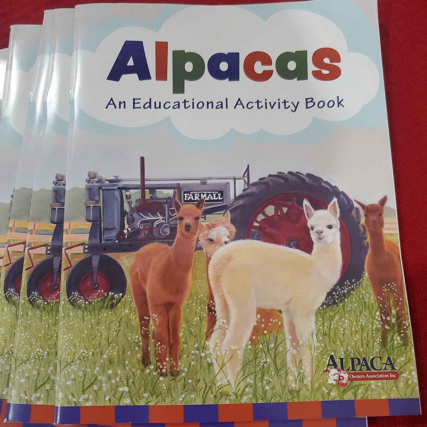 Alpaca Activity Book